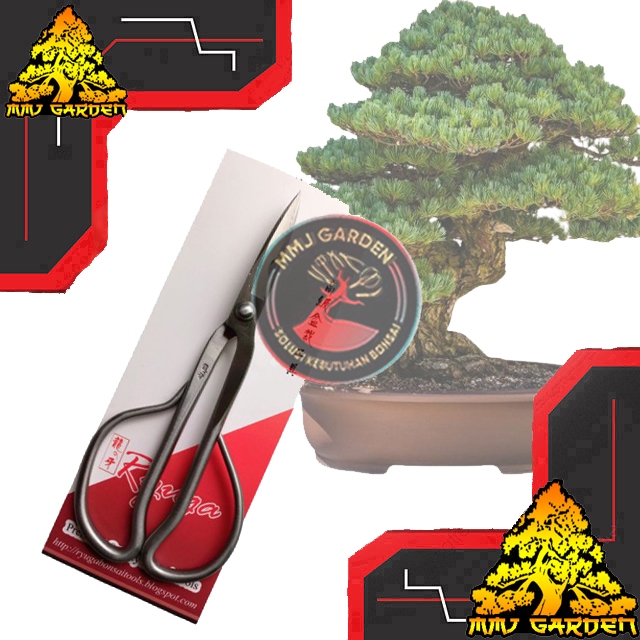 

MMJ GARDEN-ALAT BONSAI Gunting Stainless Steel 3 In 1 Ryuga RS21