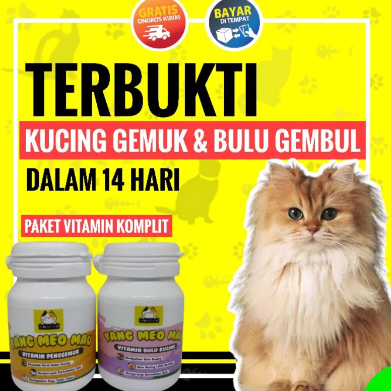 Wow banget Code3z3Yn Vitamin Kucing Nafsu Makan  Vitamin Bulu Lebat Dan Sehat