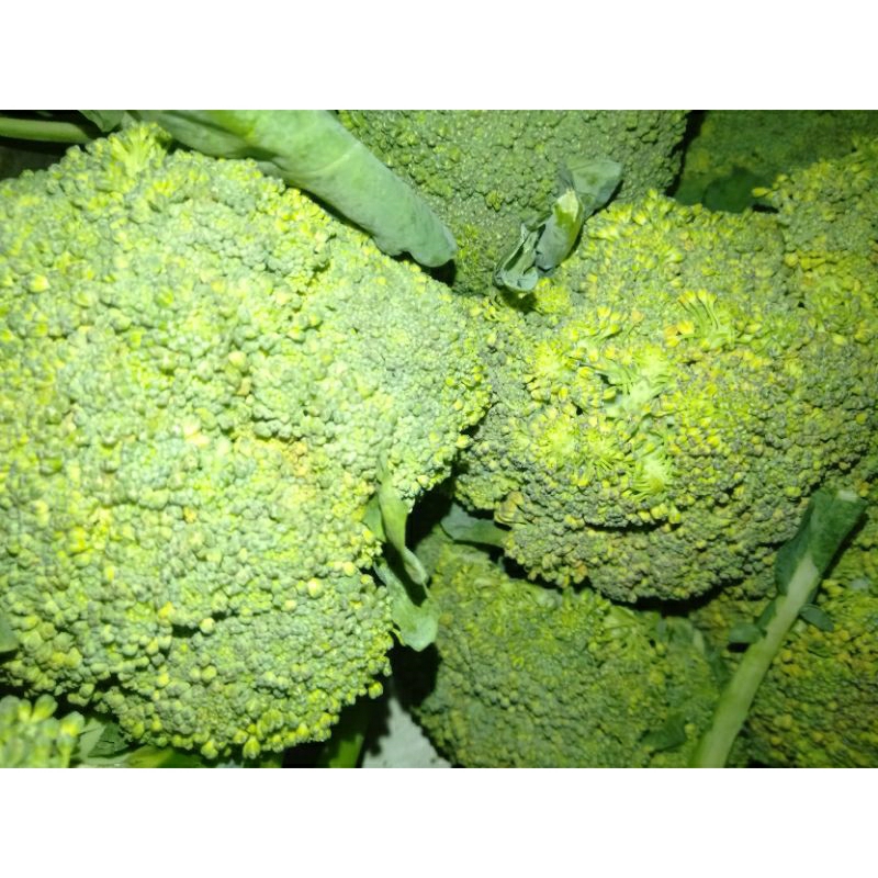 

SAYUR BROKOLI HIJAU