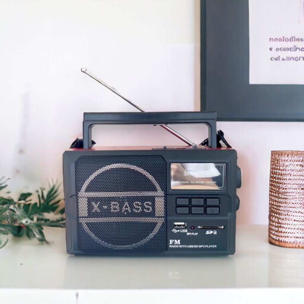 Radio Portable FM USB SD Card Auto Scan Shining Star SS104