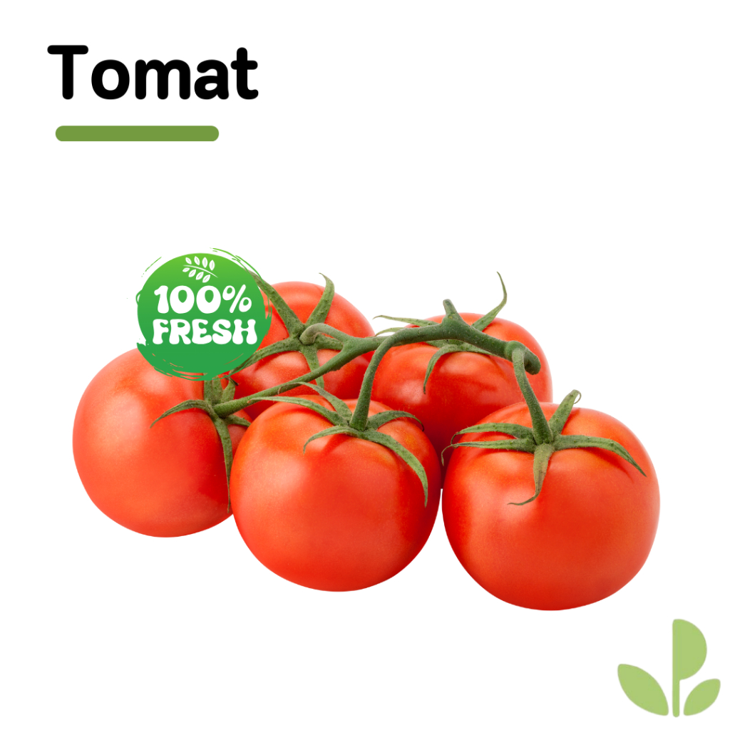 

TOMAT BUAH | 500GR & 1KG |