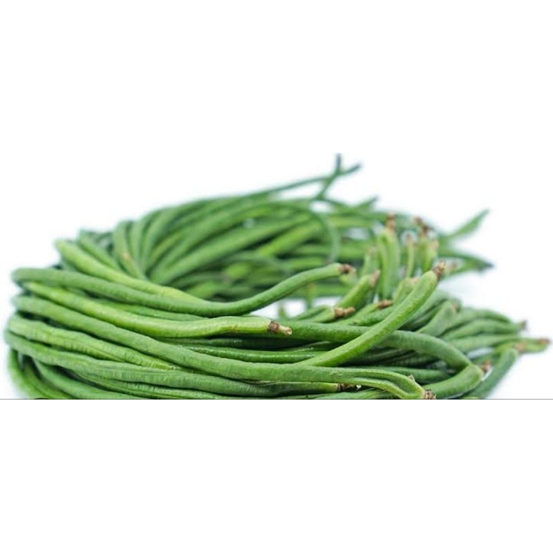 

kacang panjang