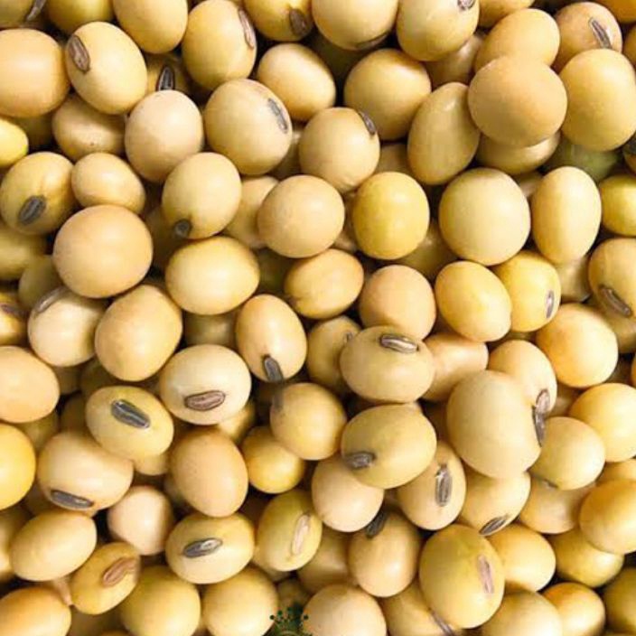 

modelTipe FYJ461 Kacang Kedelai Super Import 1kggradeAKacang Kedelai Soybean