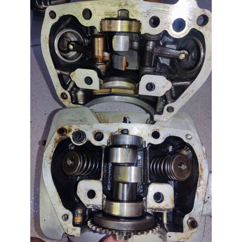 Blok Head/Blokop Tiger Revo