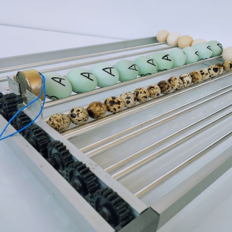 RAK ROLLER MESIN TETAS TELUR (CUSTOME)