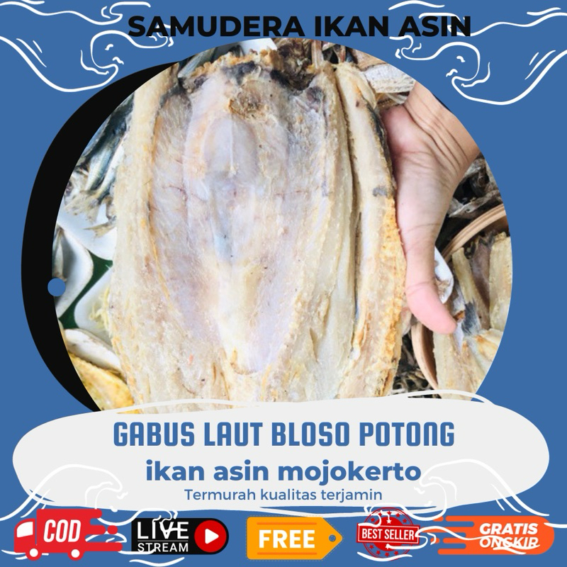 

Ikan Gabus 250gr Laut Potong Murah & Kualitas Terbaik