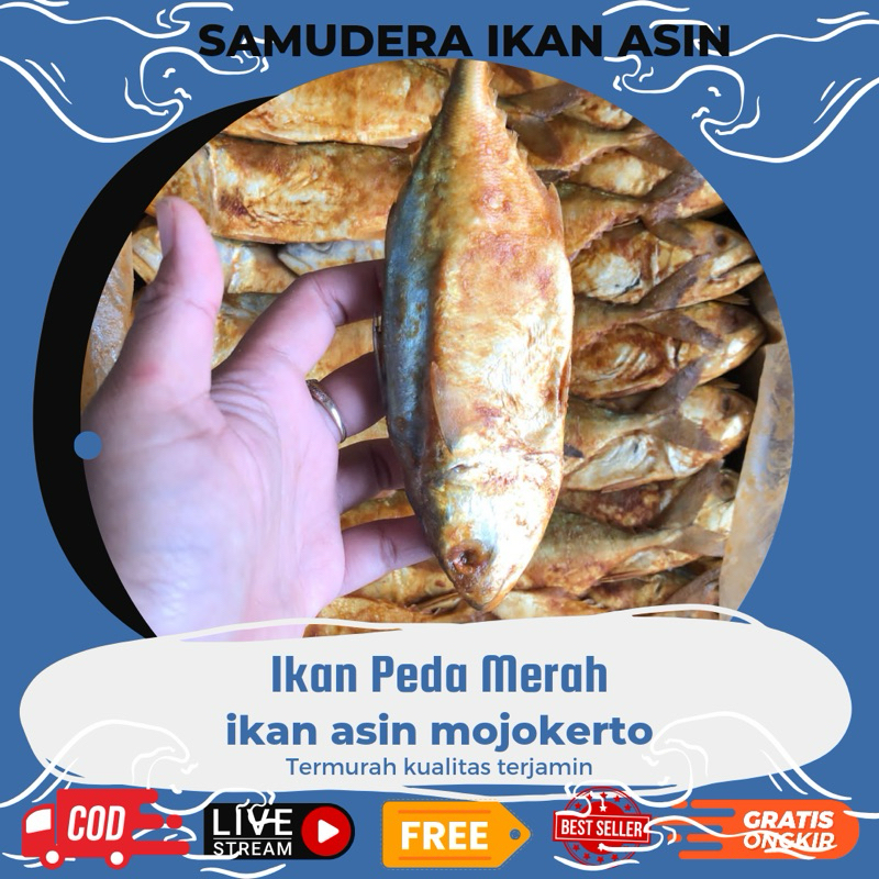 

250gr isi 4_5 Ikan Asin Peda Merah Super Harga Murah & Kualitas Terbaik dapur.berlian samudera ikan asine