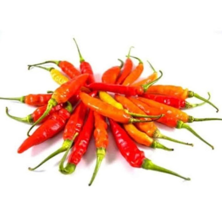 

Serb Murah Cabe Rawit Merah Baru Restok