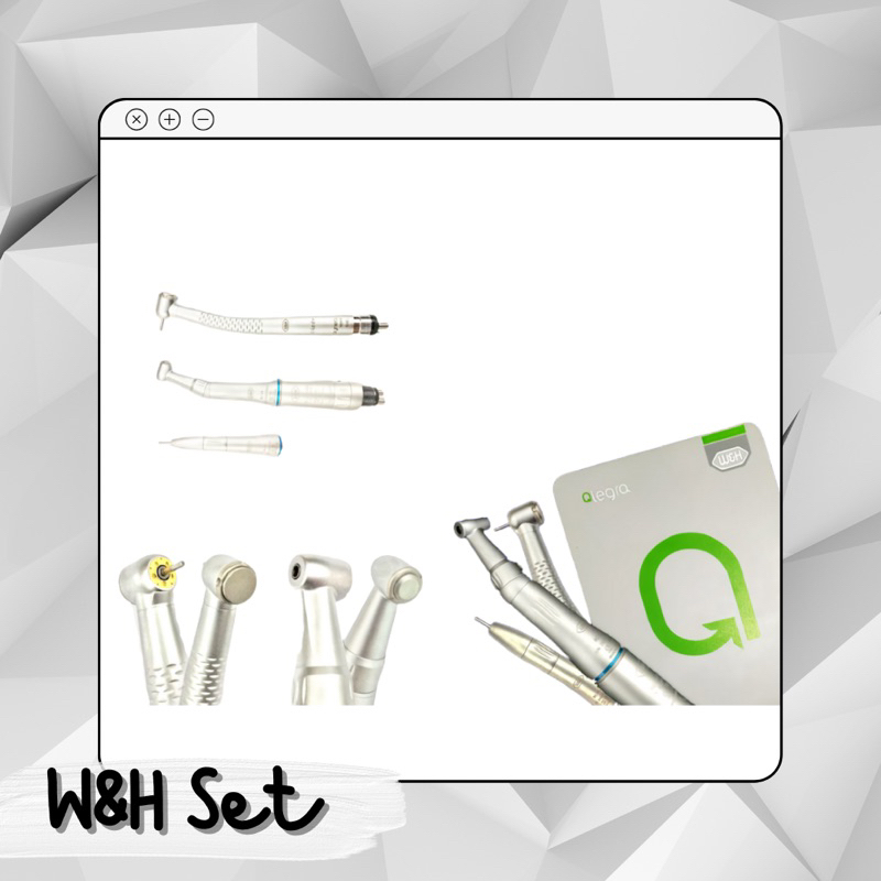 W&H HIGHSPEED DAN LOWSPEED SET / WNH HANDPIECE SET 5 LED