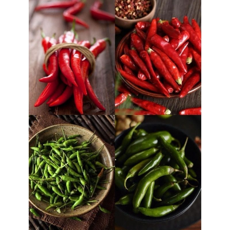 

￼Cabai Rawit / Cabai Keriting Merah / Cabai Keriting Hijau / Cabai Besar / Cabe Rawit