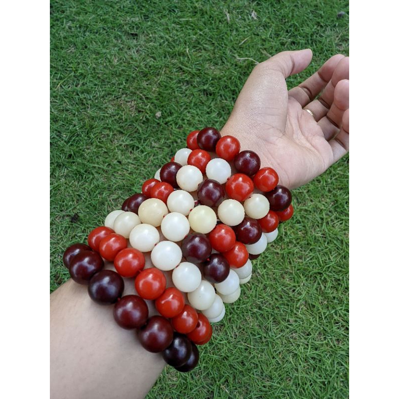 gelang pocok gebang