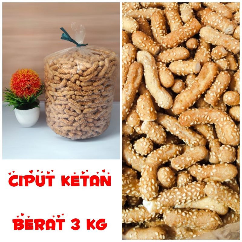 

CIPUT KETAN