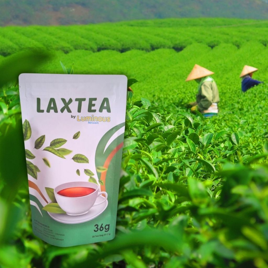 

Laxtea Teh Herbal | Fat Burner Tea | Luminous Network
