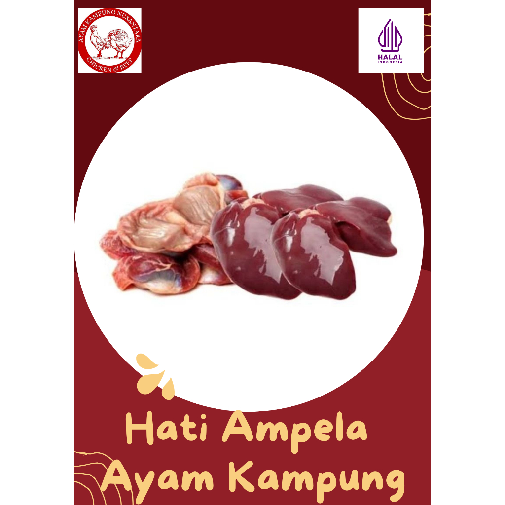 

ATI AMPELA AYAM KAMPUNG ASLI (SUDAH BERSIH) (SIAP KIRIM)