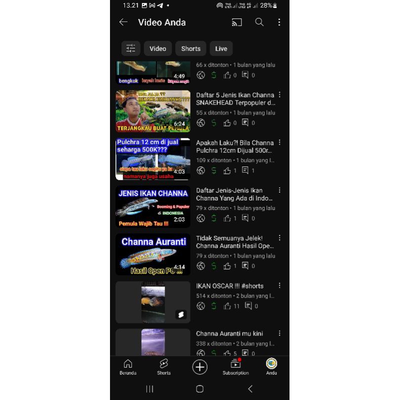chanel youtube monetize adsense pin