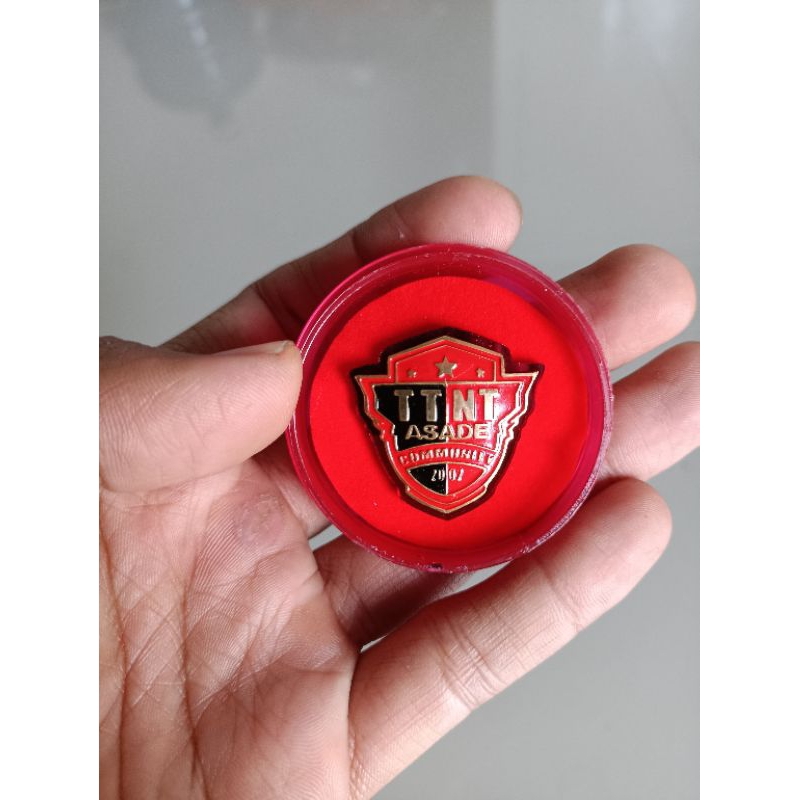 Pin TTNT asade