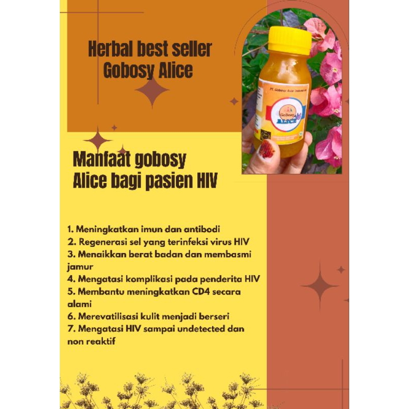 gobosy Alice (6btl)