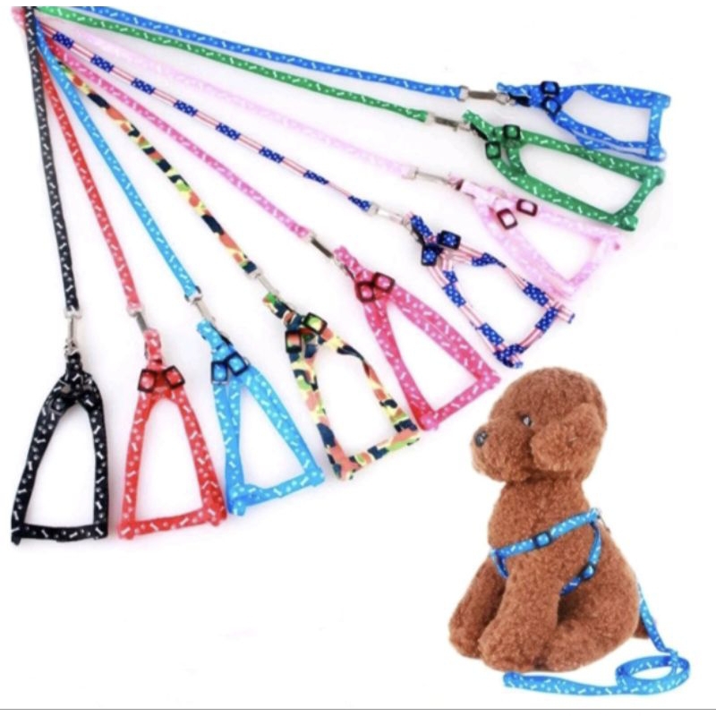 kalung kucing tali tuntun anjing hewan peliharaan musang