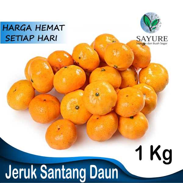 

JERUK SANTANG FRESH 1KG