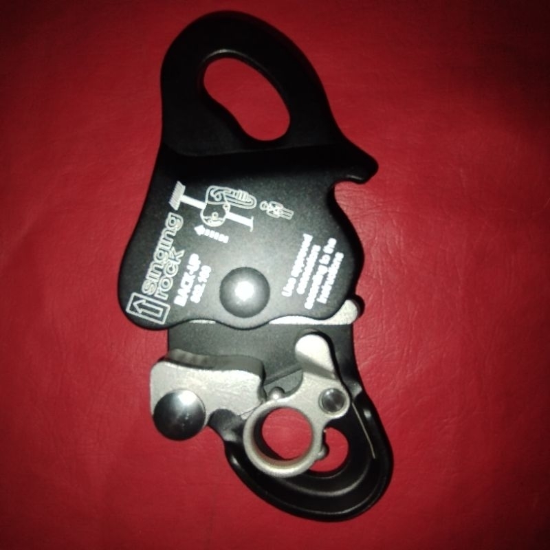 singing  rock backup