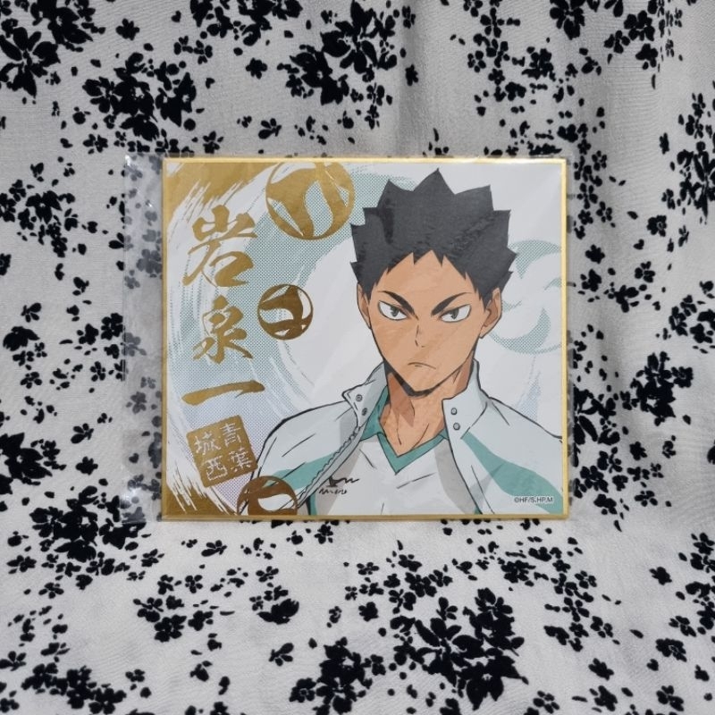 Shikishi Iwaizumi