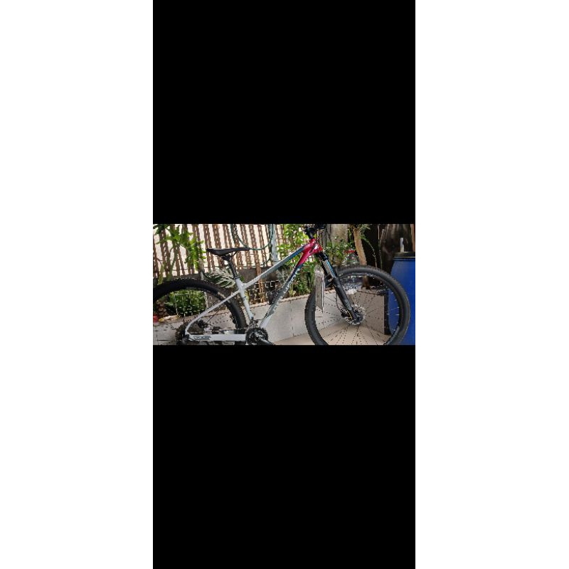 Polygon Xtrada 5 2022