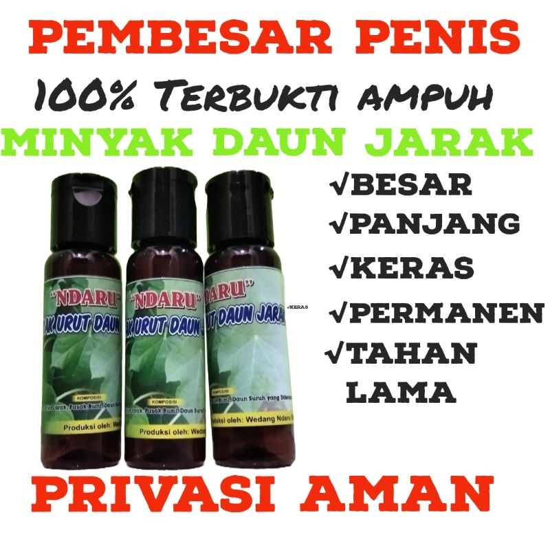 MINYAK DAUN JARAK HERBAL PEMBESAR KELAMIN PRIA  HASIL PERMANEN