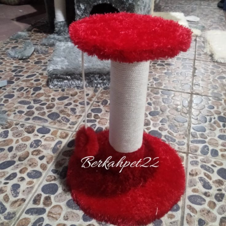 cat condo mainan kucing kitten cat condo garukan
