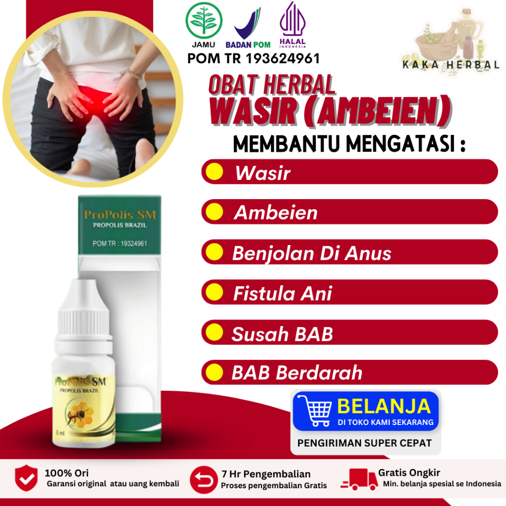 Obat Wasir Ambeien Bengkak Ambeyen Benjolan BAB Berdarah Sembelit - ProPolis SM Brazil isi 6 ML