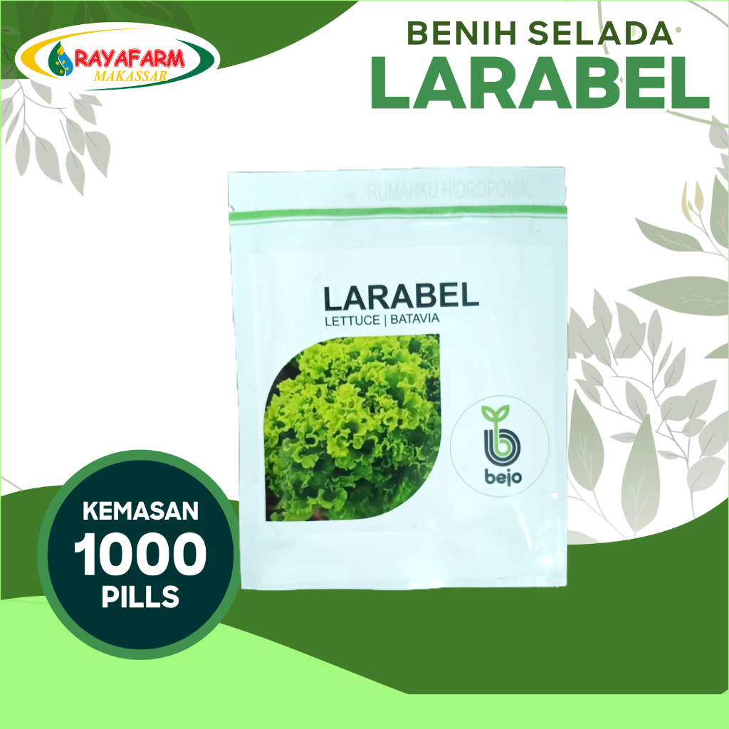 Benih Bibit Selada Larabel 1000 Pills - Bejo Seed