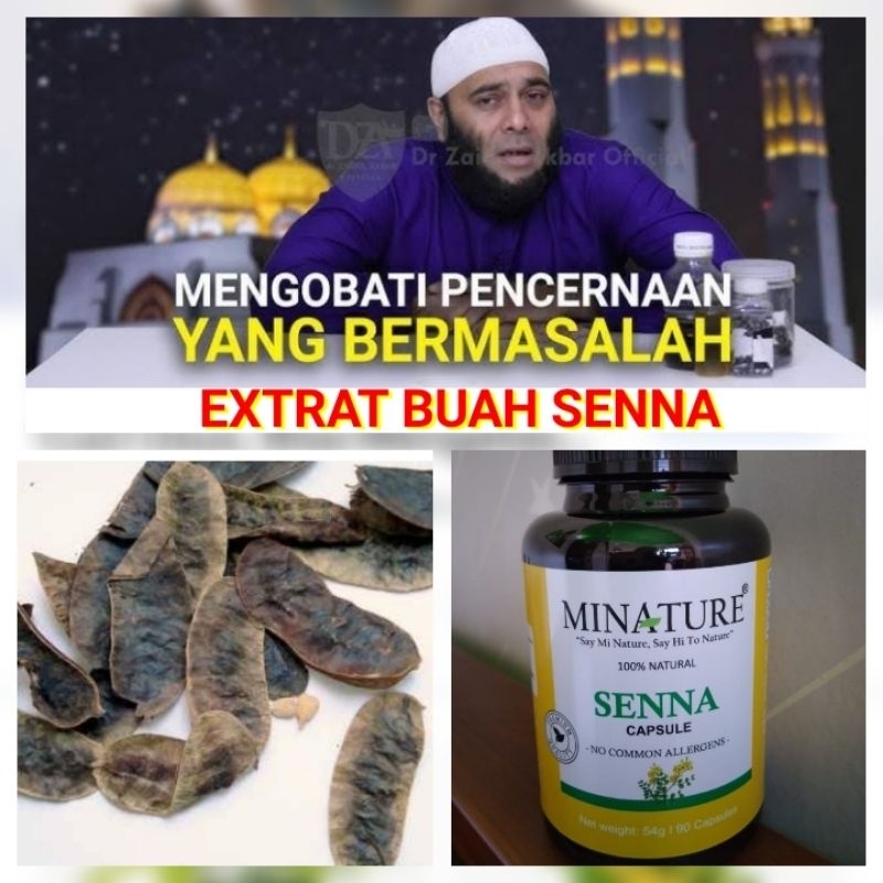 Jual extrat buah senna kapsul pembersih usus ala Rosulullah jual extrat buah senna jakarta jual extr