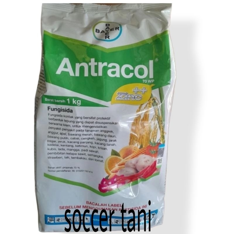 FUNGISIDA ANTRACOL 1 KG