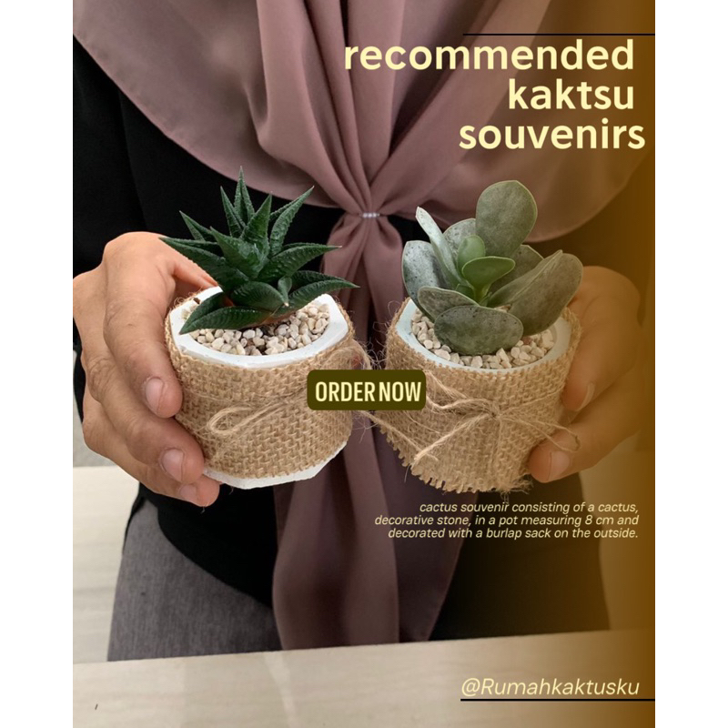 souvenir kaktus hidup pot hexagon plus goni