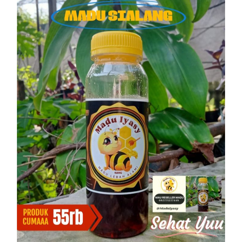 

Madu Sialang 55k