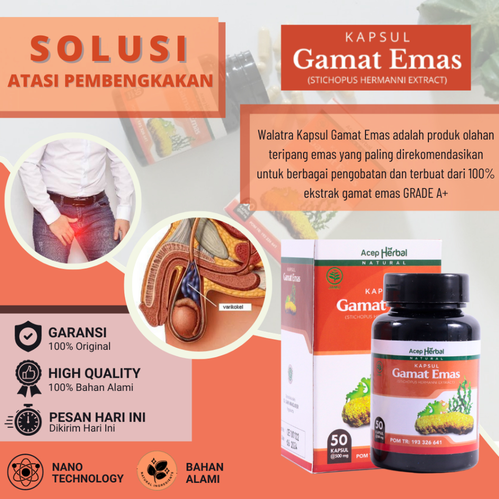 Obat Varikokel, Obat Varikokel Buah Zakar, Obat Nyeri Testis, Obat Testis Kendor, Obat Varises Buah 