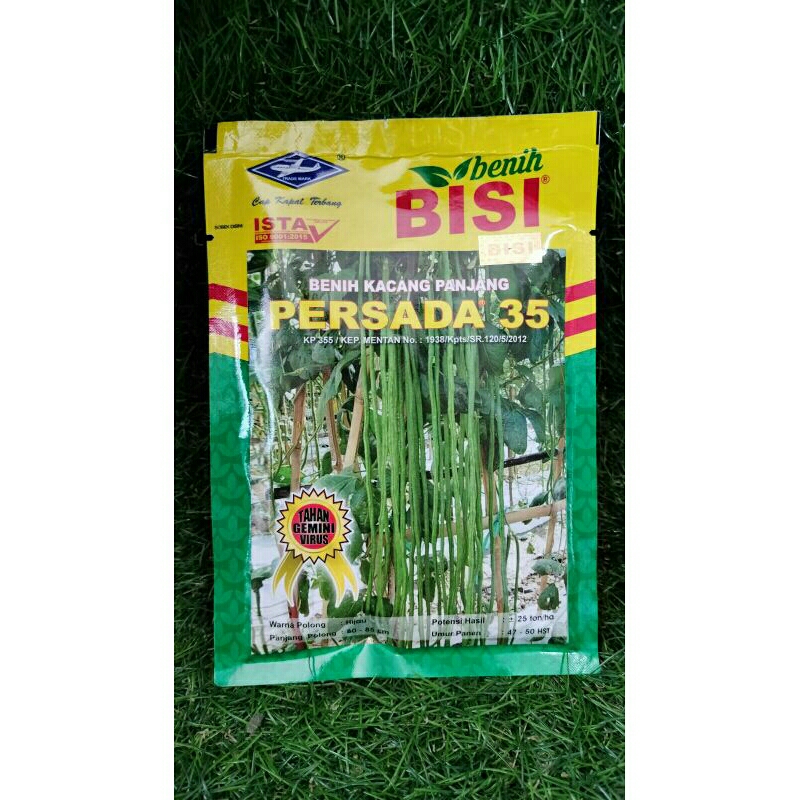 BISI_PERSADA 35 _ benih kacang panjang/bibit kacang panjang/cap kapal terbang