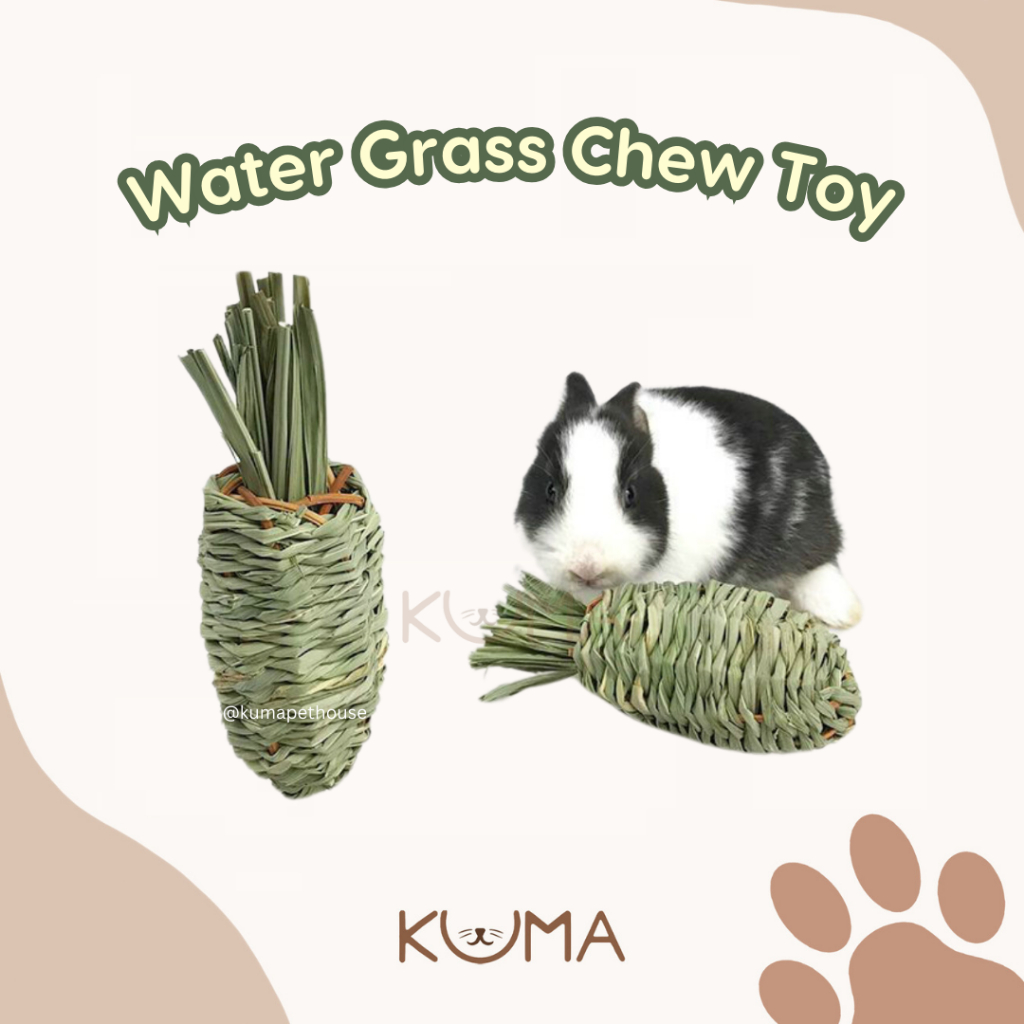 [KUMA] Water Grass Chew Toy BESAR | Mainan Gigitan Rumput Natural Kelinci Hamster Marmut | Mainan Be