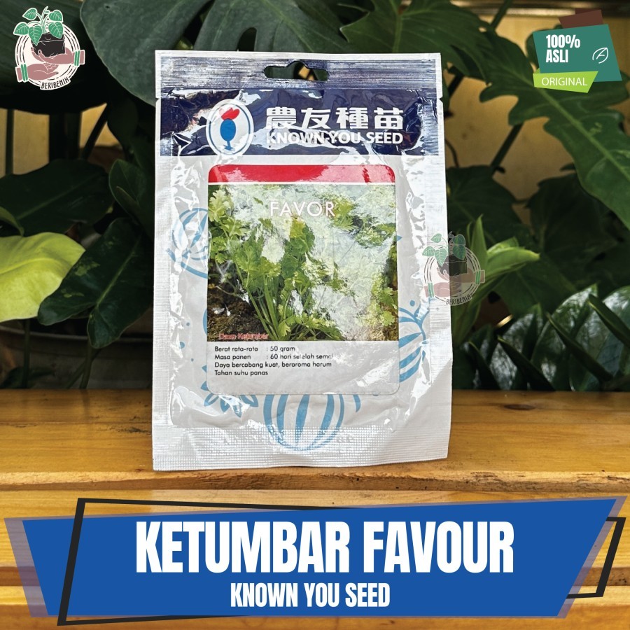 Benih Bibit Biji Daun Ketumbar Coriander Favor Known You Seed Original