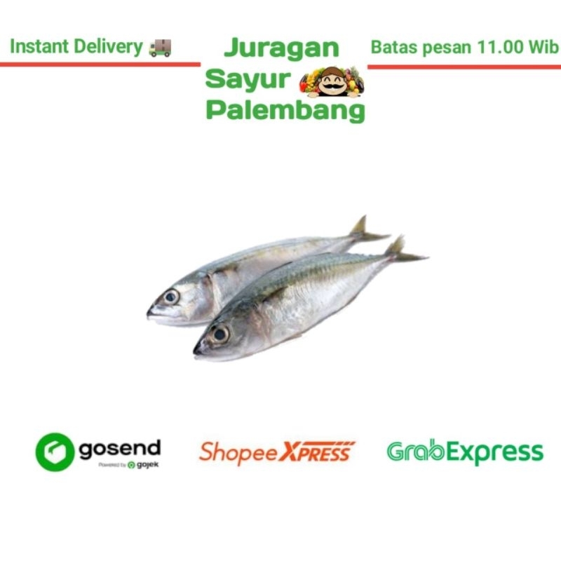 

Ikan Kembung - Juragan Sayur Palembang