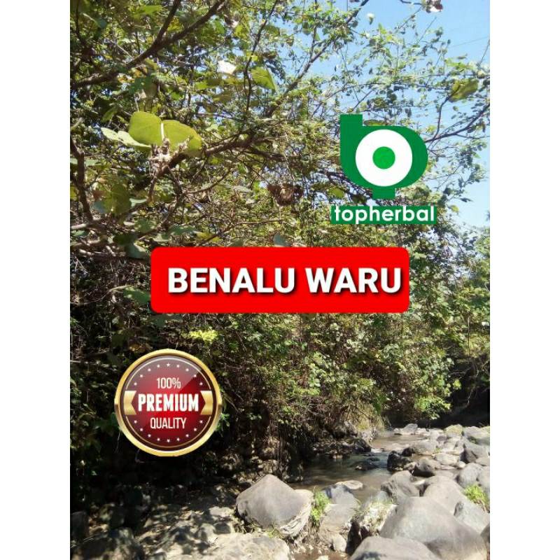 

Benalu Waru Kering 1000 Gram