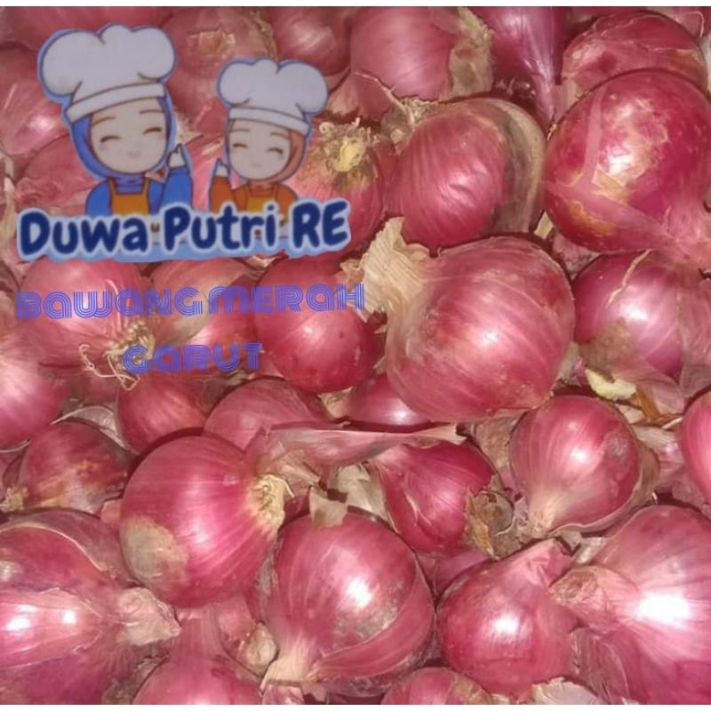 

bawang merah garut 1kg