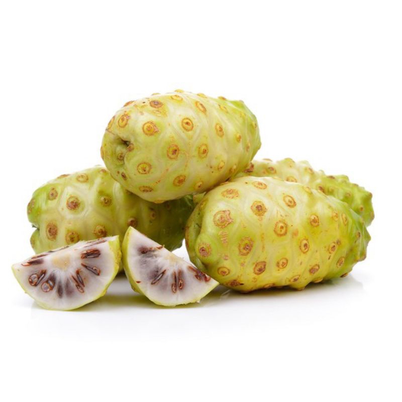 

BUAH MENGKUDU MATANG SEGAR 1 KG