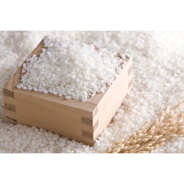 

Beras Jepang Sushi Premium Koshihikari Okiniiri | Japonica Sushi Rice Halal 500 gram