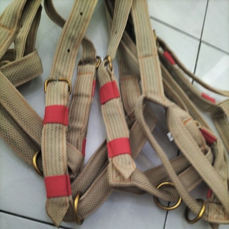Brangus sapi/kalung keluh sapi/