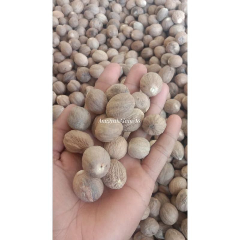 

pala kupas kwalitas terbaik/500grm