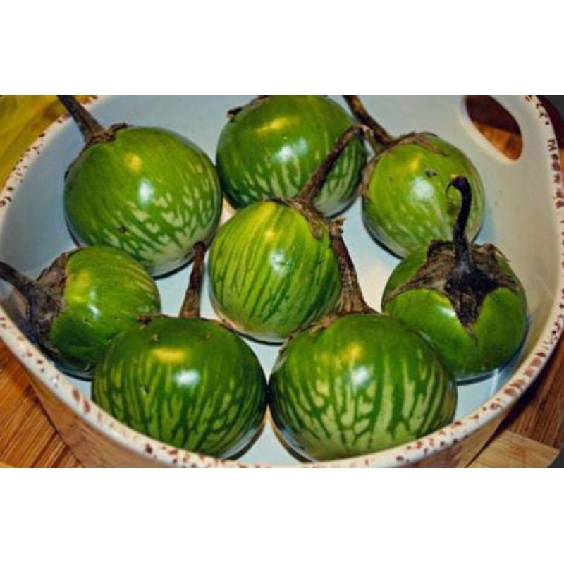 

Terong terung hijau bulat 250g