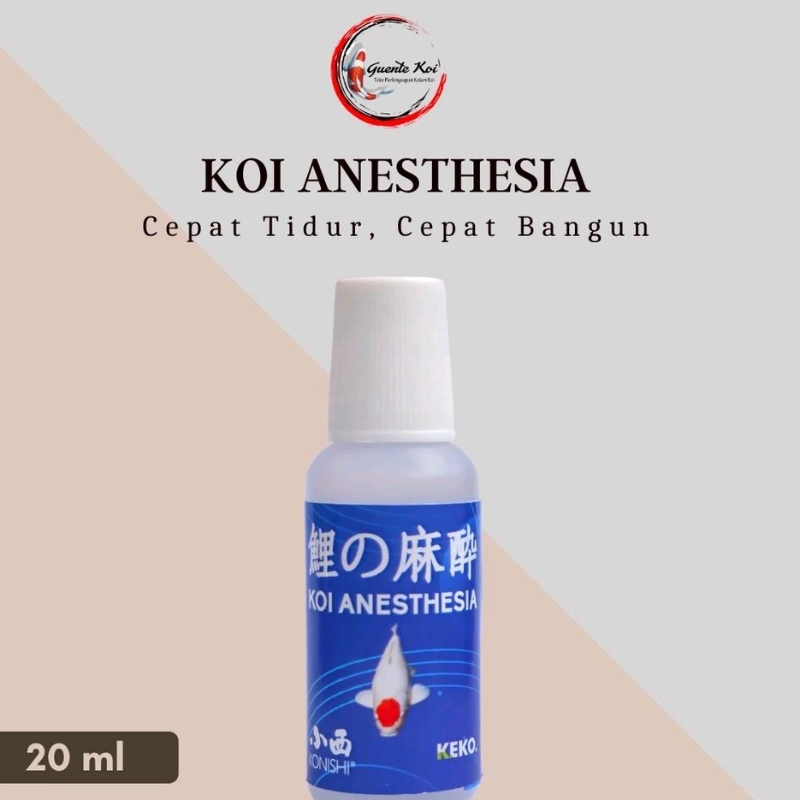 Bius Ikan Koi - Koi Anesthesia Original