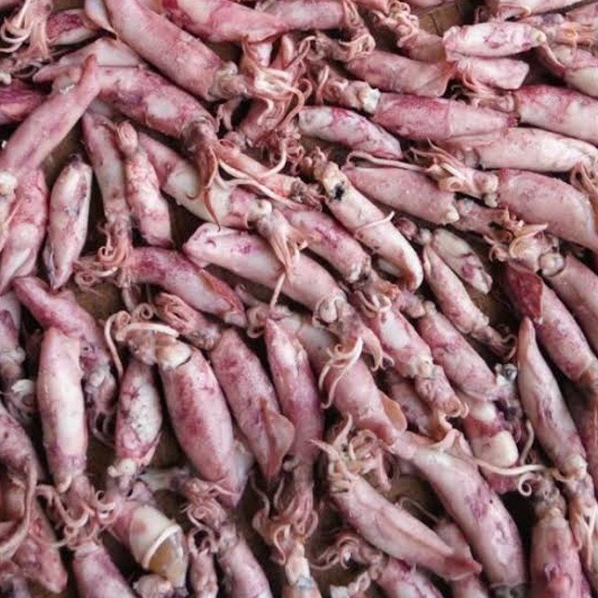 

Cuci gudang SayurHD Cumi Asin 1gr