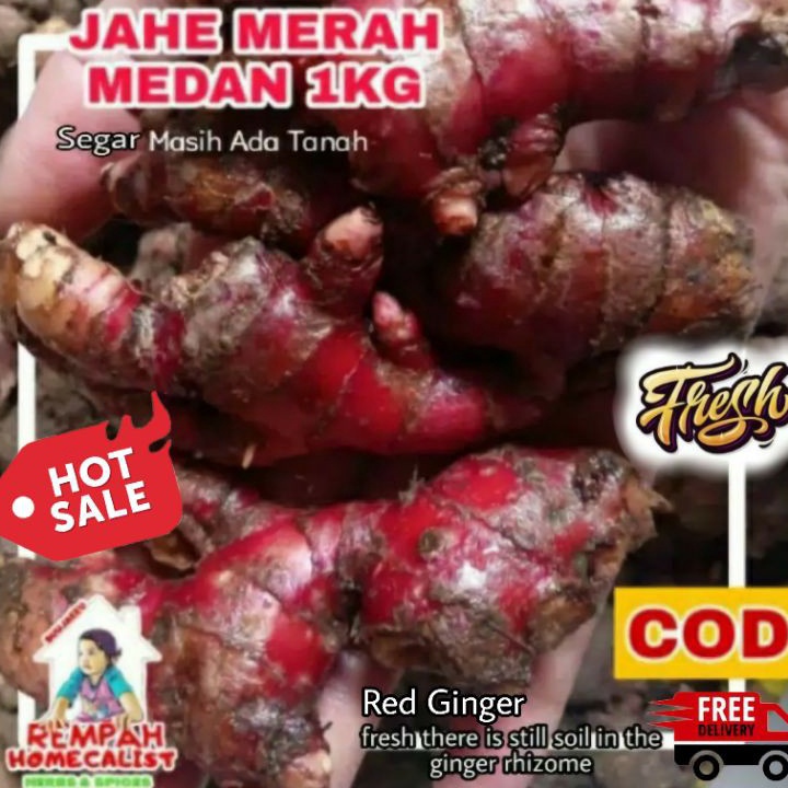 

Terbaru Jahe Merah Medan 1kg Jahe Merah Segar Jahe Merah 1kg Masih Ada Sisa Tanah Rempah Herbal Wedang Jahe Segar