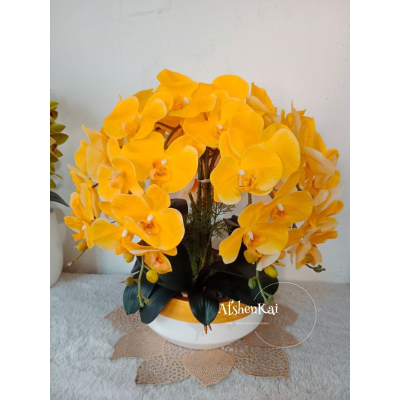 Anggrek Meja pot gerabah